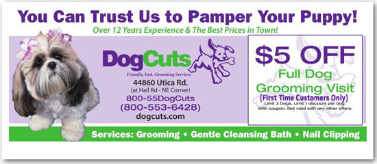 Dog Cuts first visit special coupon